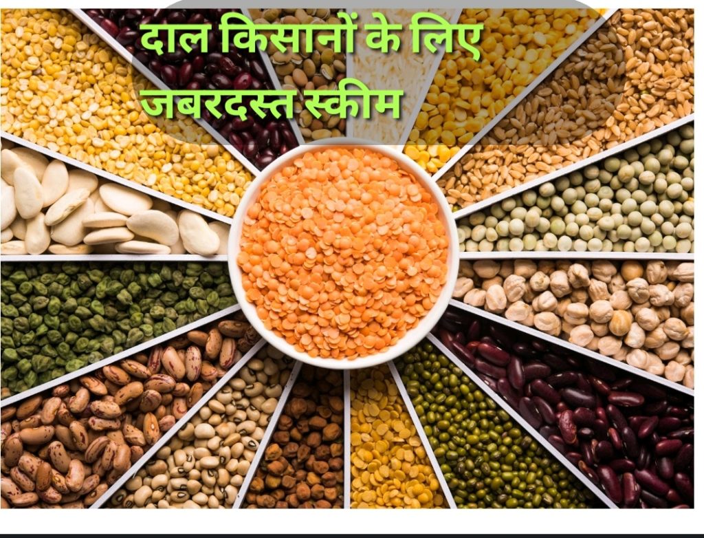 Atmanirbhar Pulse Mission 2025