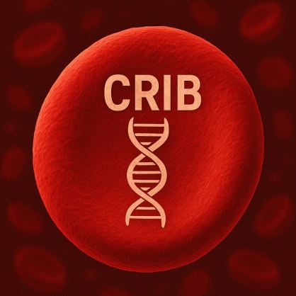 CRIB