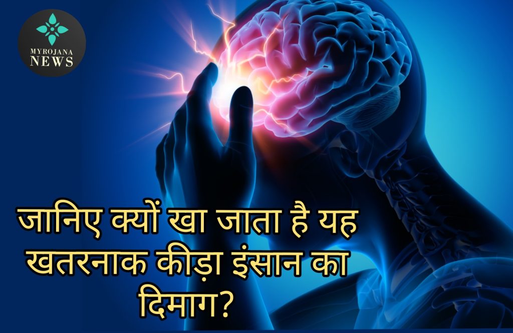 ब्रेन-ईटिंग अमीबा