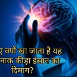 ब्रेन-ईटिंग अमीबा