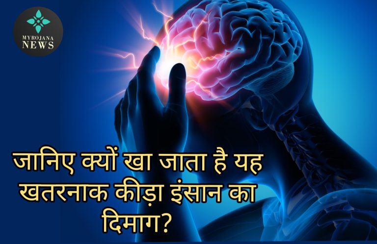 ब्रेन-ईटिंग अमीबा